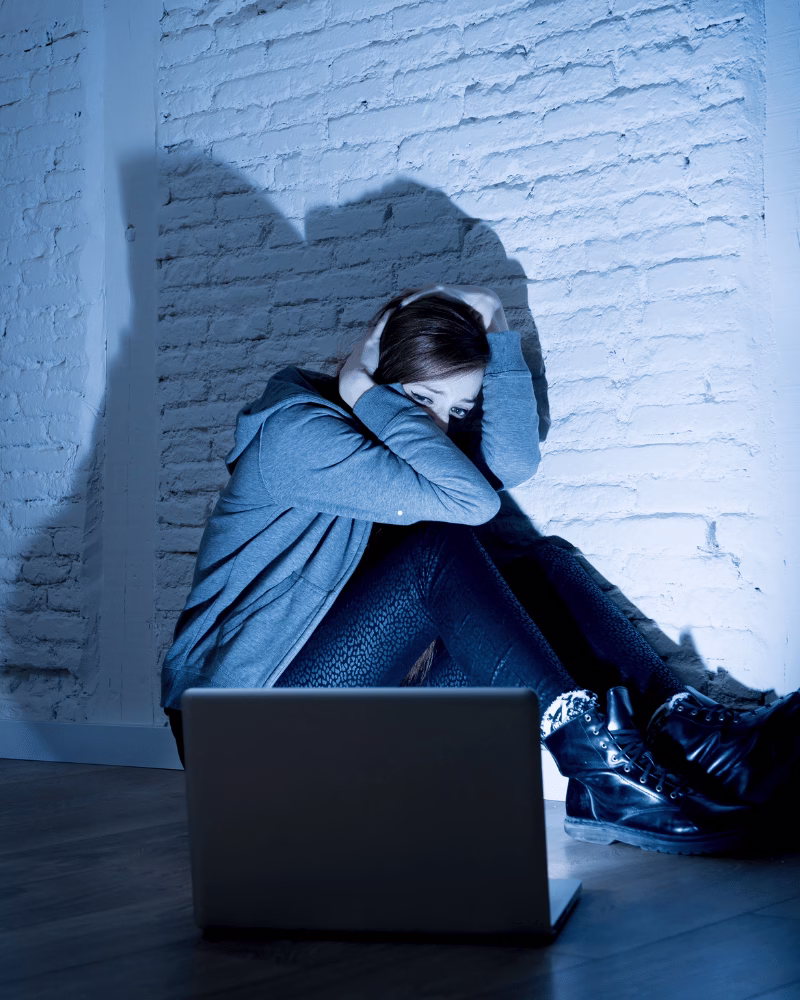cyberbullying victim